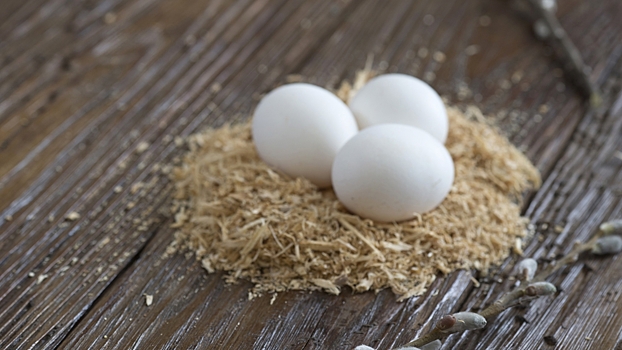 Спрогнозированы цены на куриные яйца перед Пасхой