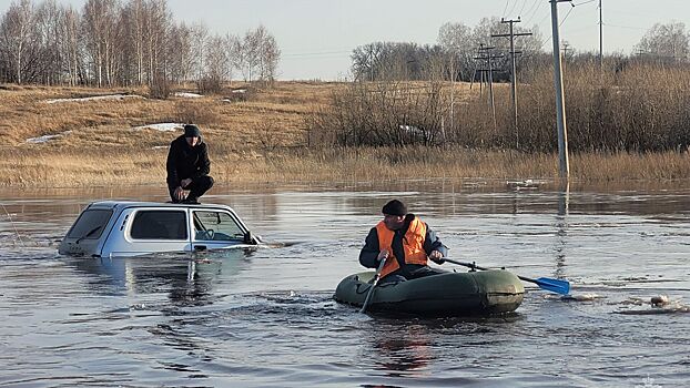 Свыше 900 дач на Алтае ушли под воду