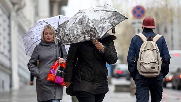 Тишковец: в Москве с четверга выпадет около 80 процентов месячной нормы осадков