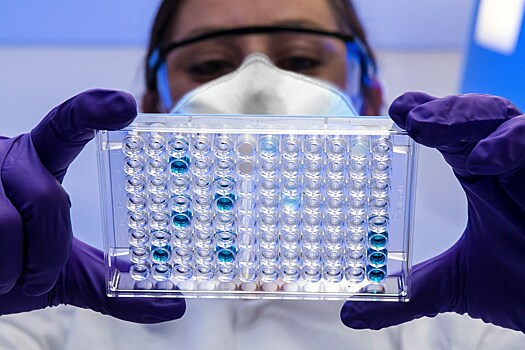 Ученые РФ и Германии проведут совместные исследования по изучению микробиоты человека