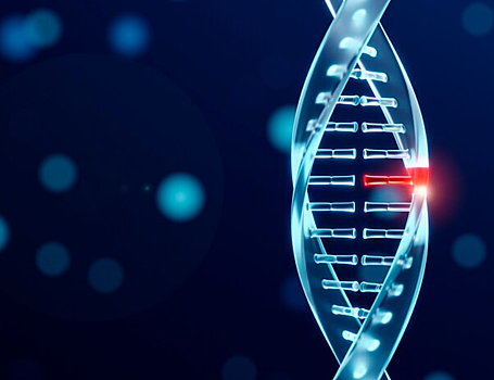 Ученые выяснили, как гираза разрезает ДНК