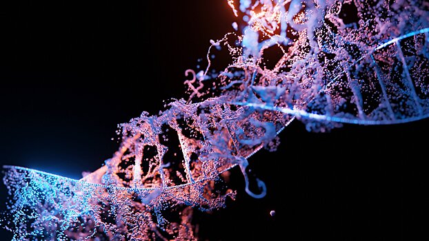 Ученые обнаружили связи между генетикой и употреблением алкоголя