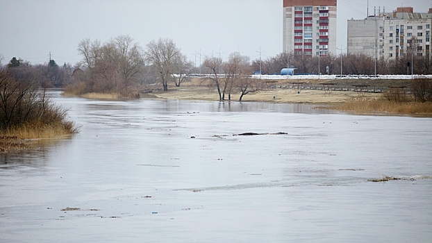 Уровень воды в Тоболе в трех селах вблизи Кургана достиг 10 м