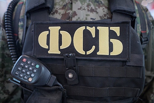 В ЛНР задержали студентку, отправлявшую ВСУ данные о российских военных