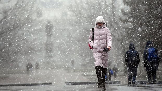Москвичей предупредили о мокром снеге