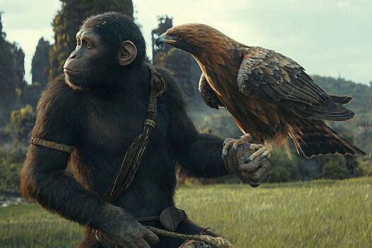 Вышел IMAX-трейлер «Королевства планеты обезьян» со звездой «Ведьмака» Фрейей Аллан
