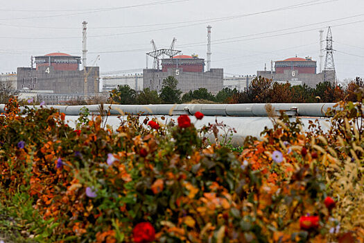 В США предположили сроки возобновления работы Запорожской АЭС