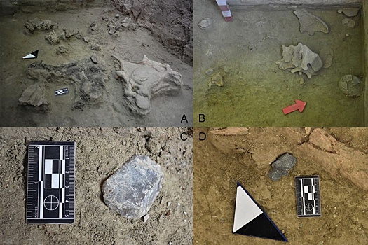 Археологи раскопали поселение древних людей возрастом 12,5 тысячи лет