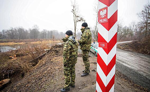 Белорусские пограничники нашли три мертвых мигранта на границе с Евросоюзом