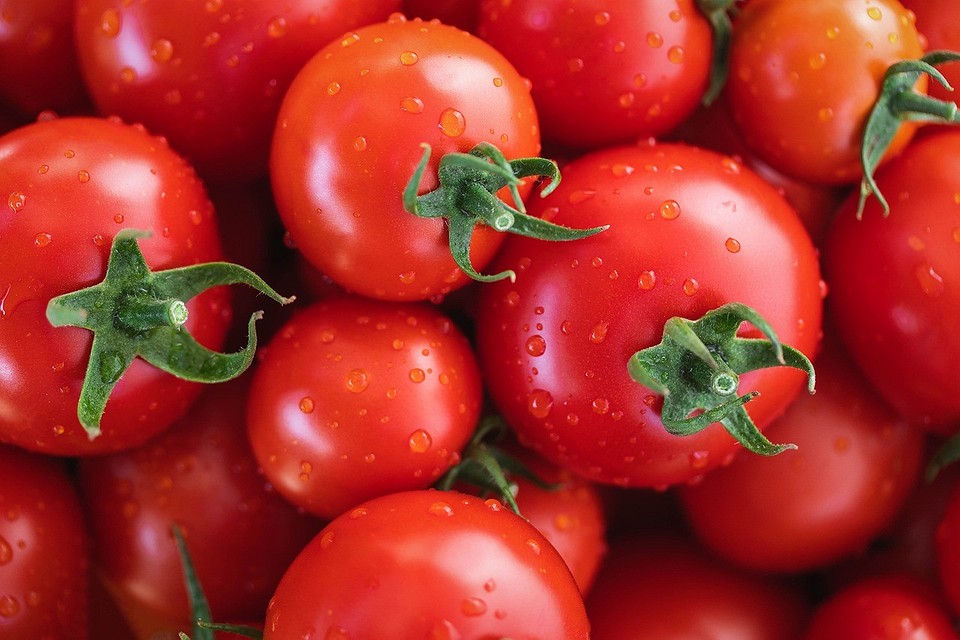 Благоприятные дни для помидоров в мае 2024: когда сажать и пересаживать в грунт3
