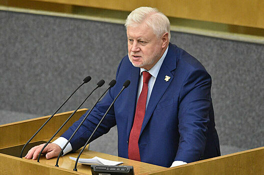 Депутат Миронов призвал освободить учителей от лишней бюрократии