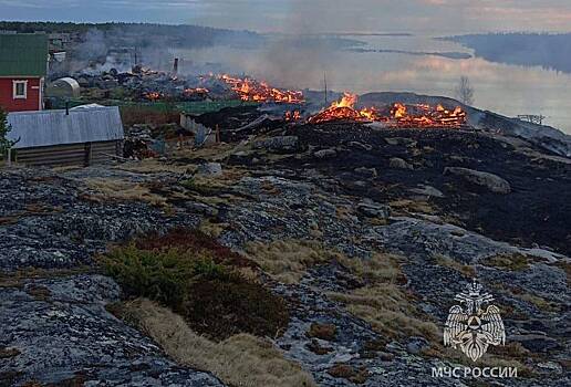 Десятки домов в российском селе сгорели из-за упавшего столба