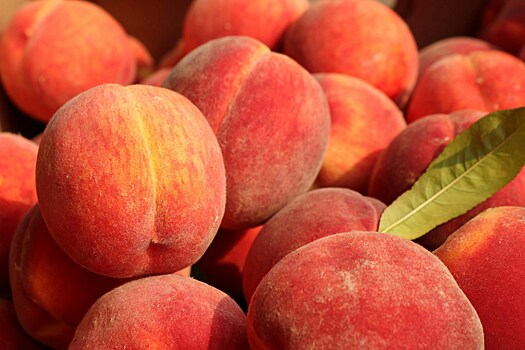 Диетолог раскрыл, как не ошибиться при выборе персиков и черешни