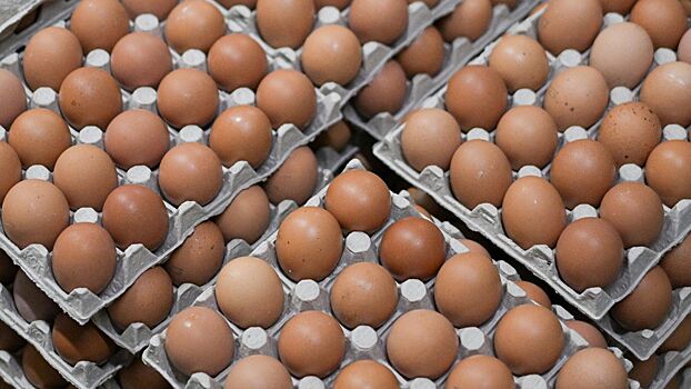 Екатеринбуржцев призвали не лизать яйца ради денег