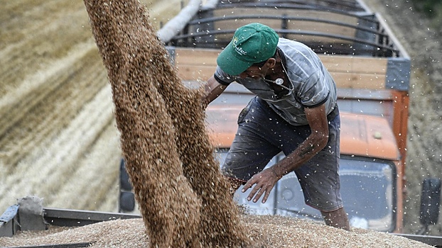 ЕС утвердил «запретительные пошлины» на российское зерно