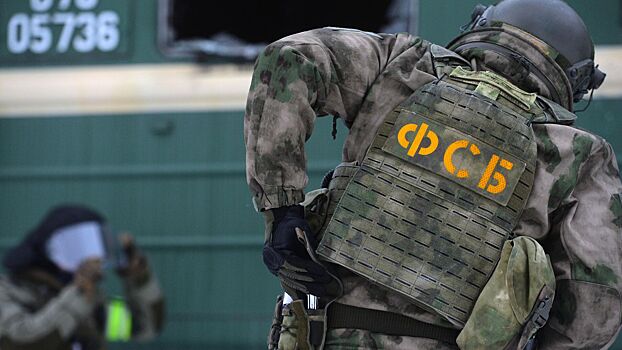 ФСБ на границе под Псковом пресекла контрабанду 51 кг наркотиков