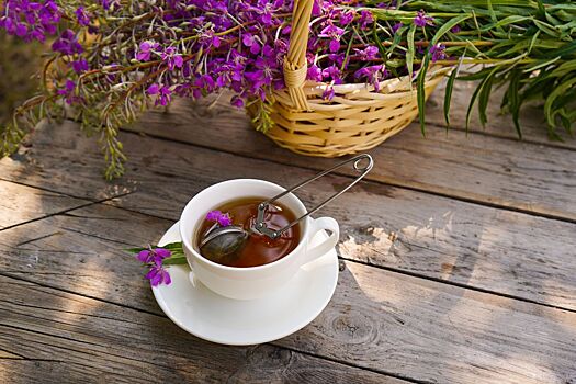 Иван-чай: гастроэнтеролог назвал удивительные лечебные свойства растения