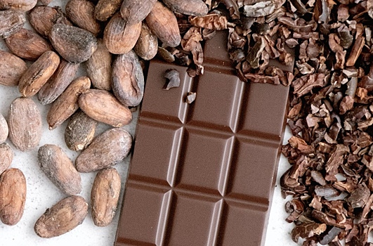 Швейцарские ученые разработали рецепт нового шоколада