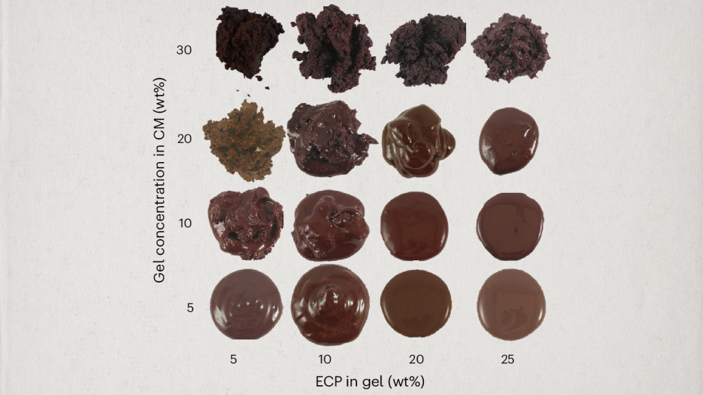 Какао-гель: швейцарские ученые разработали рецепт нового шоколада1