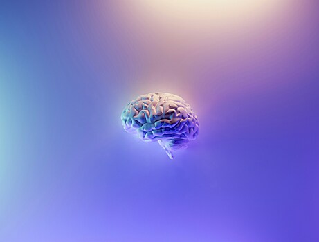 Китайские ученые придумали новый способ заморозки человеческого мозга