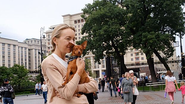 Лето в Москве ожидается теплым, без экстремальной жары