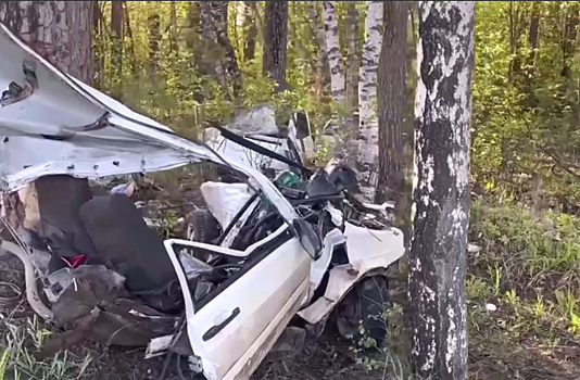 Люди погибли из-за врезавшегося в дерево автомобиля в Перми