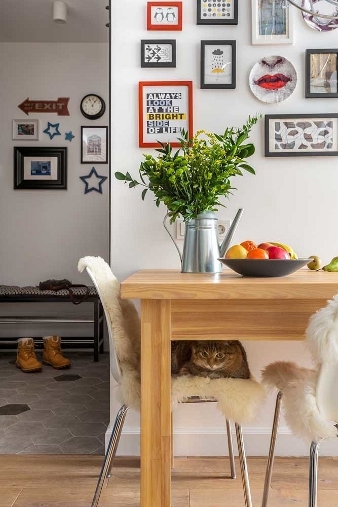 Лучшие породы кошек для квартиры: выбираем спокойного и ласкового питомца23