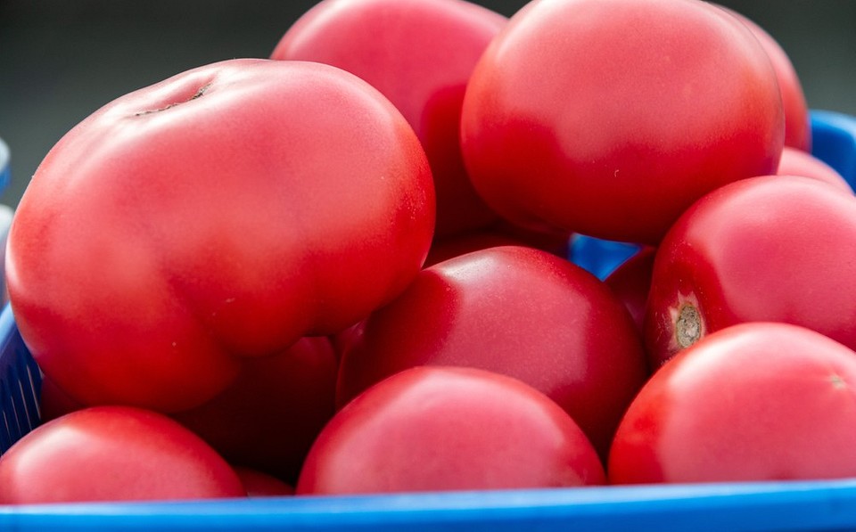 Не тратьте на них время: 7 худших сортов томатов1