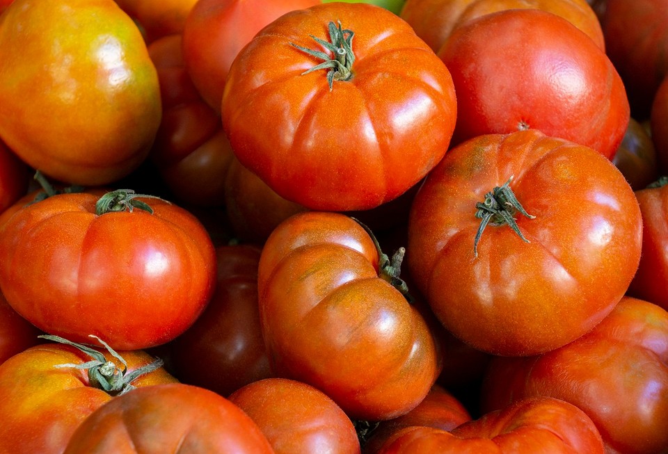 Не тратьте на них время: 7 худших сортов томатов3