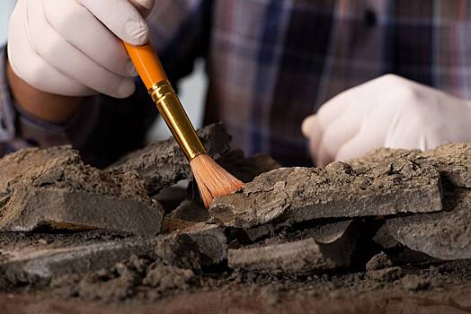 Необычный клад обнаружили в Пскове