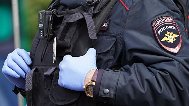 Полицейские нашли пакет на шее убитой 8-летней девочки под Ростовом