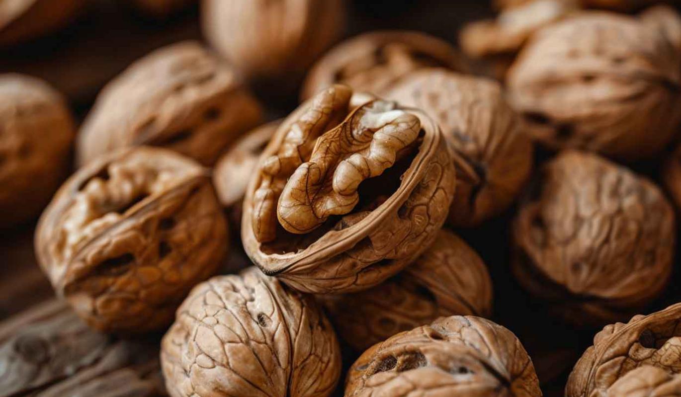 Польза и вред грецких орехов для организма: какие моменты учитывать при их употреблении