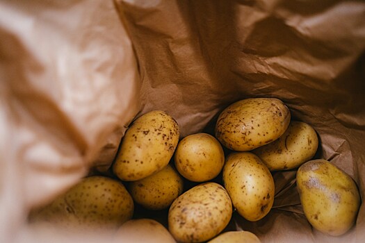 Правда ли, что нельзя хранить картофель в холодильнике