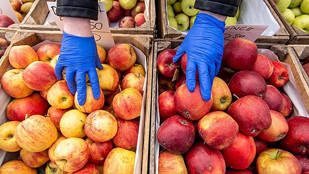 Россельхознадзор прокомментировал сообщения о дефиците яблок