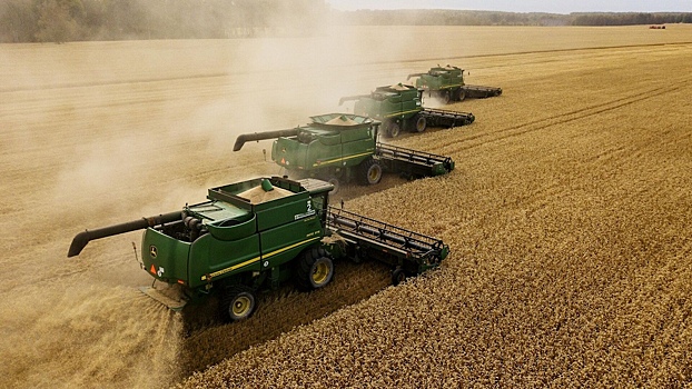 Россия впервые займет более четверти мирового экспорта пшеницы