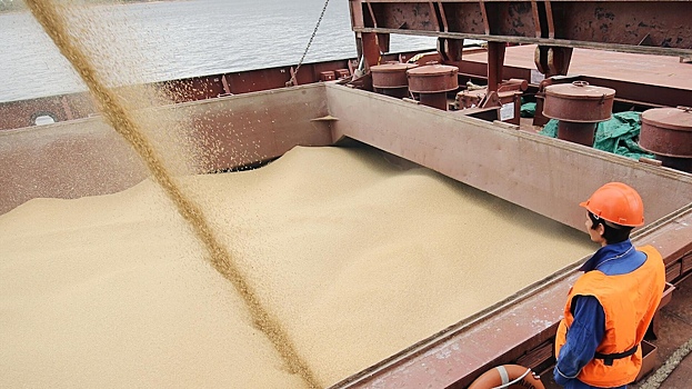 Россия установила контроль над экспортом зерна из страны