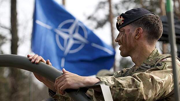 Шольц заявил, что Украину не примут в НАТО в ближайшие 30 лет