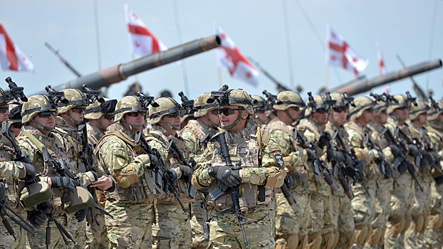 В Грузии сообщили о призыве ряда стран отправить военных на Украину