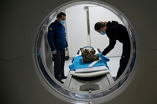 Ученые нашли атеросклероз у 37% древних мумий со всех уголков Земли