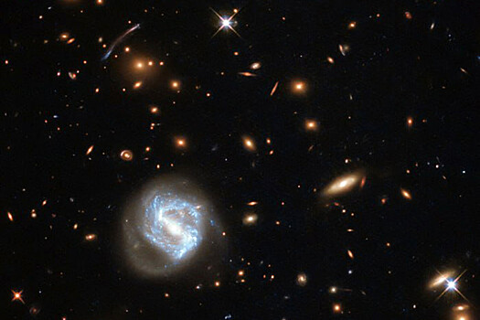 В далеком космосе обнаружено гигантское кольцо галактик