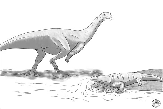 Ученые нашли в Зимбабве совершенно новый вид динозавров