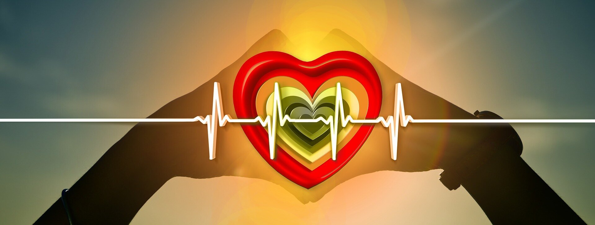 Учёные обнаружили новый способ улучшить здоровье сердца1