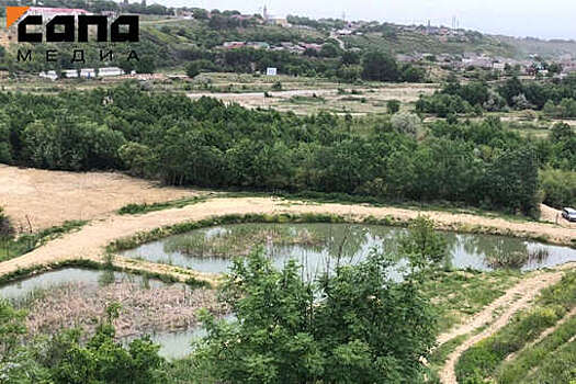 В Дагестане пенсионер обстрелял мужчин, которые рыбачили в выкопанном им пруду