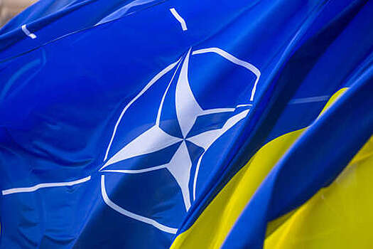CDS: НАТО на саммите в июле может провозгласить отказ от ввода войск на Украину