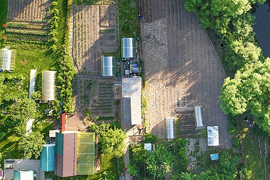 В Минздраве назвали три правила безопасной работы на огороде