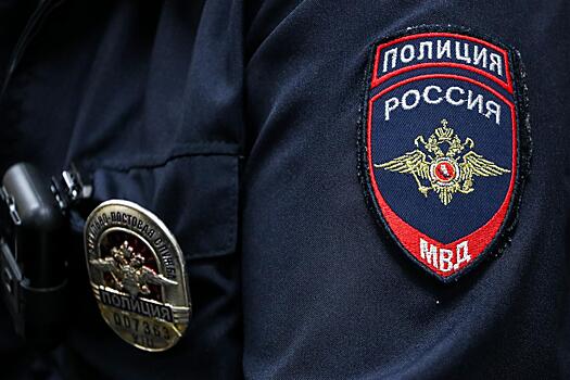 В Москве арестовали обругавшего полицейских гражданина США
