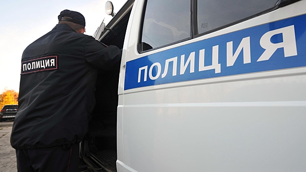 Водитель угрожал пистолетом мужчине с ребенком в Петербурге
