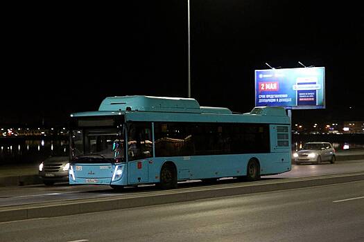 В России девочку высадили с последнего рейса автобуса с разряженным телефоном