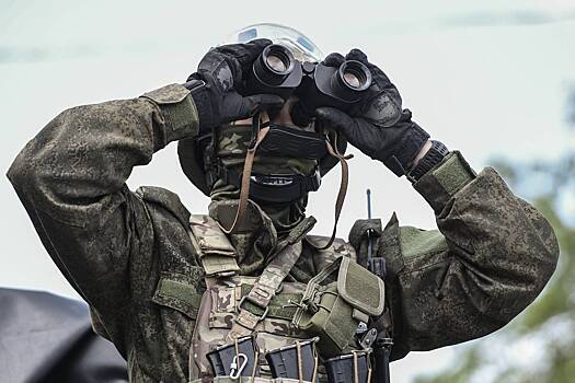 В России высказались о «глазах» НАТО над Черным морем