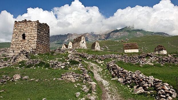 В Северной Осетии впервые пройдет фестиваль спаржи